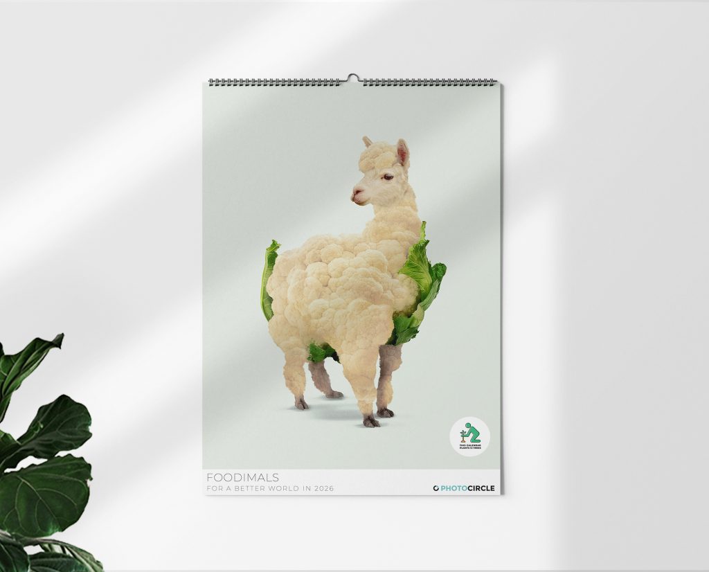 Foodimals Square Kalender von Jonas Loose